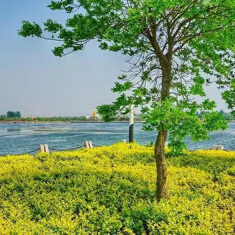 30张微信头像,清新多彩自然美景,让你过目不忘