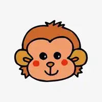 南美小猴子头像清晰