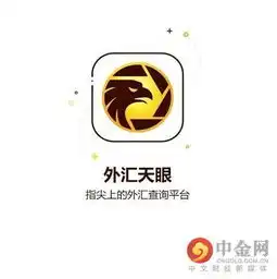 外汇天眼指尖上的外汇平台照妖镜