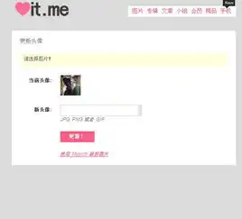 怎样在topitme里换头像