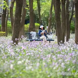 北京朝阳东部今年将新增一座700亩公园