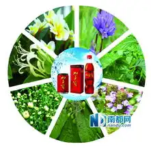 从一罐正宗凉茶的诞生,看加多宝360度品质管理