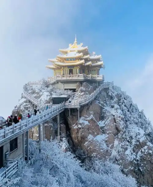 测试一个超长简介的文章