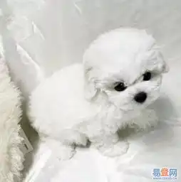 奉贤