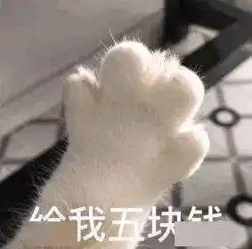 在东方,五元钱可以做这些事