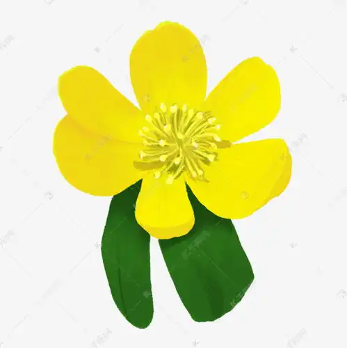 手绘阳光清爽小清新装饰小黄花素材图片免费下载千库网