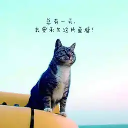 测试一个超长简介的文章