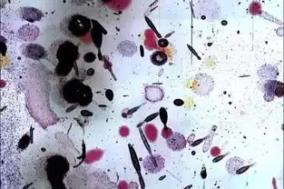 评展资讯艺术写史的得与失从早期文明展到美国政治转折