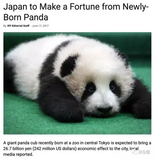 新增58784英国因疫情大熊猫养不起了可每年挣8770万还遭这种对待