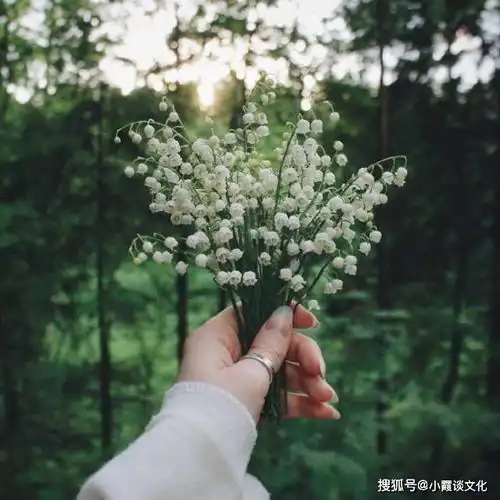 朋友圈句句获赞的句子,精辟犀利到噎死人