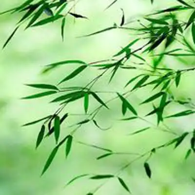 测试一个超长简介的文章