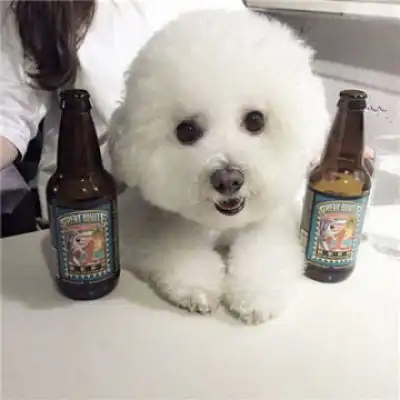 测试一个超长简介的文章