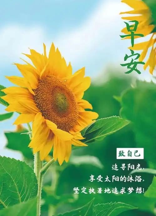 为自己加油打气的正能量语录句子,简短励志,越读越优秀