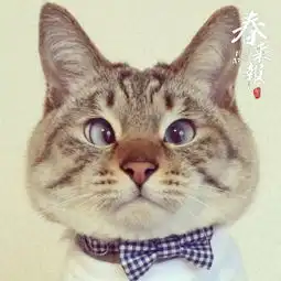 我是雨伞爸爸刘侨,在五大洲生活工作过...澎湃新闻thepaper