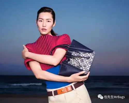 给我这只包,我可以装下整个世界