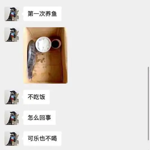 每日沙雕哪吒三太子指的是金吒,木吒和谁