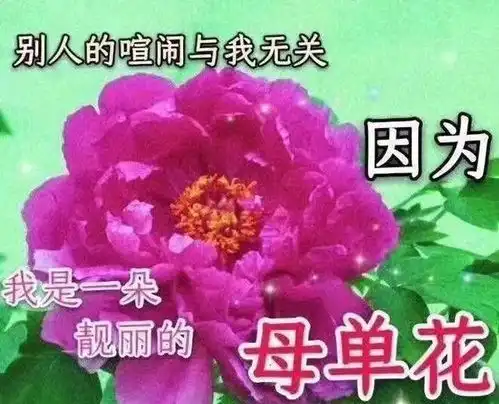分享一些很搞笑的搞笑图片给大家