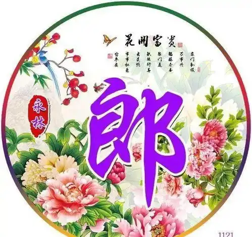 中老年头像大全牡丹花开,富贵吉祥的微信姓氏头像