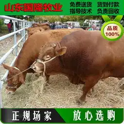 深泽县无纺布手提袋报价厂家