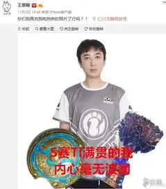 王思聪吃热狗被网友们玩坏了甚至还出了周边和产品