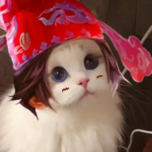 王者荣耀猫猫头像搬运第一弹