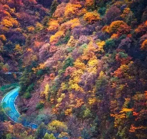 宁愿路过全世界,也不愿错过秋天,中国绚烂至极的季节