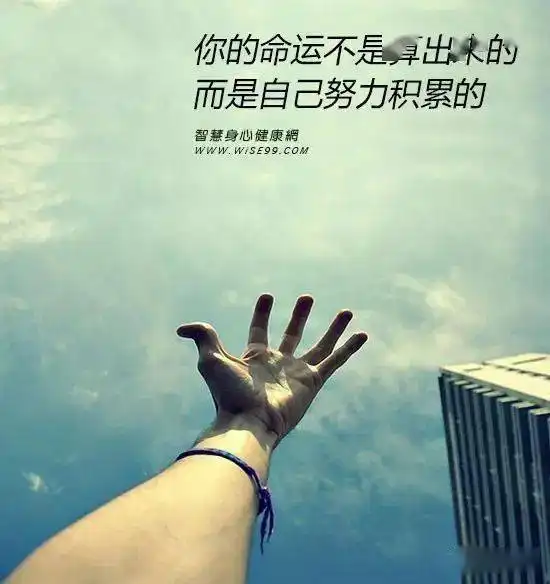 一只猪一只绵羊和一头乳牛,被关在一起,还有一位医生,这两个故事火了儿子