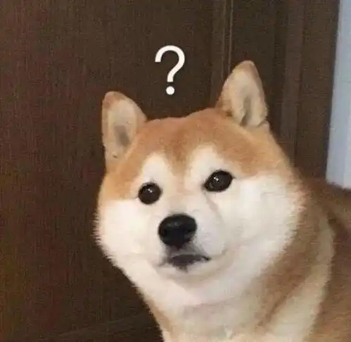 卡酷大玩家的个人展示页