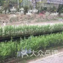 莲花河滨水绿道