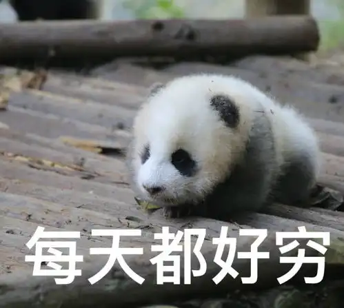 有哪些让人心情开朗的图片