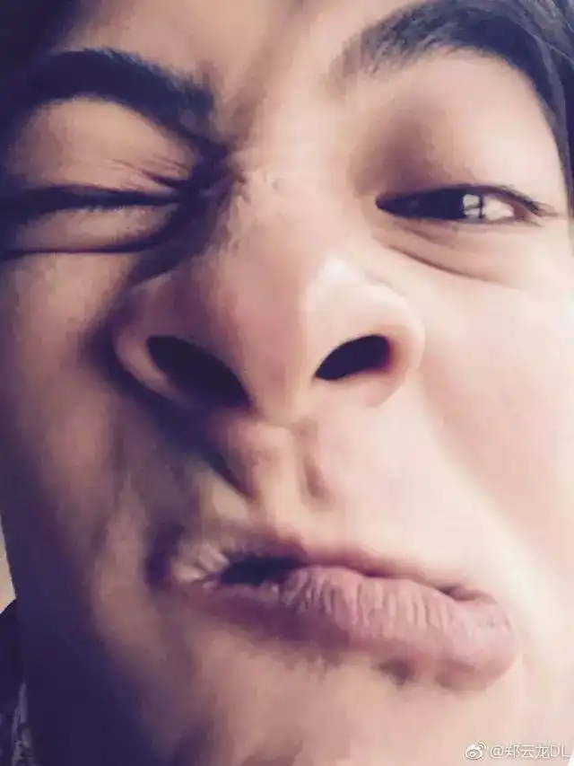 当代男明星自拍谁最丑被这些毁容式自拍惊到了