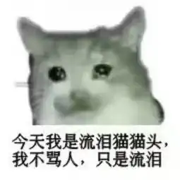 俄罗斯世界杯32强之克罗地亚
