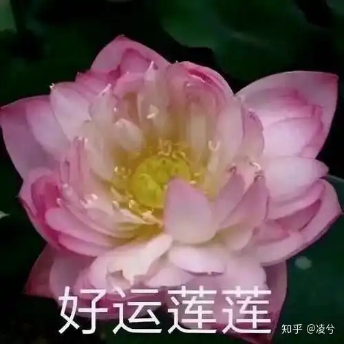 有什么适合爸妈用的好看的微信头像