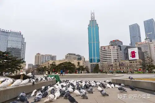 中国唯一按法国巴黎为蓝本打造的广场,也是中国最有钱的广场