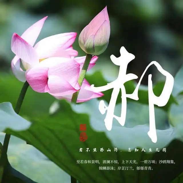 荷花美景姓氏签名头像,诗情画意意境优美,送给有缘的你