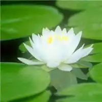 测试一个超长简介的文章