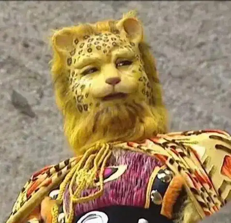再次强调,别用这种猫当头像