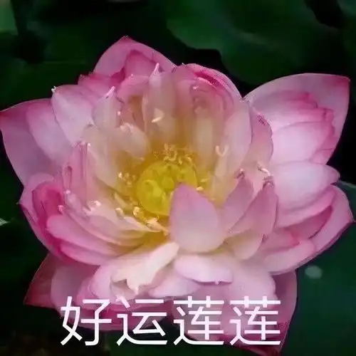 人到中年,保命的最好方式藏