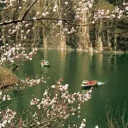 北京小滋公社1晚可加购云瀑沟龙庆峡景区门票舒适民宿别致小院可携带宠物