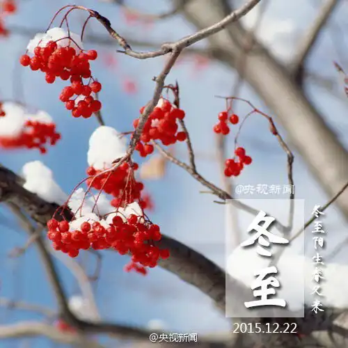 这是什么水果