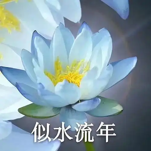 你的微信头像该换了