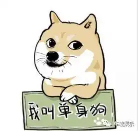 七夕将至,老司机们告诉你泡妞的正确开车方式