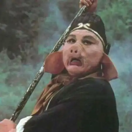 情侣头像搞笑逗比两张,不是人的宠物的真人的都有