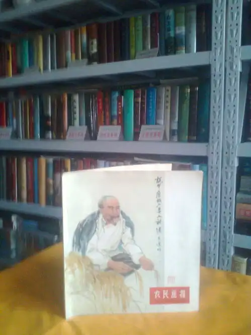 50年代手绘经典老画报之五农民画报1956年十一月号总第8期虒人珍藏