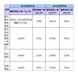 社保缴纳基数社保基数5