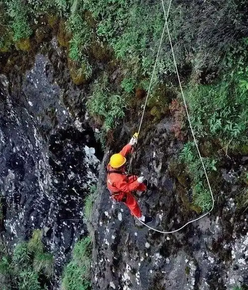 最近,老君山又火了一把,不是因为人间仙境而是泡面
