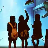 人生如梦,朋友如雾头像微信头像图片大全