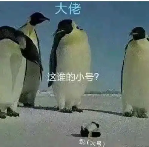 等国足赢了,我就跟你离婚
