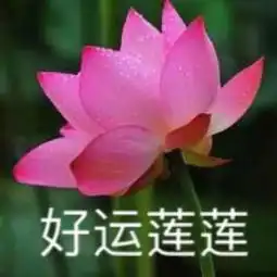 你换个头像吧,妈看着不舒服