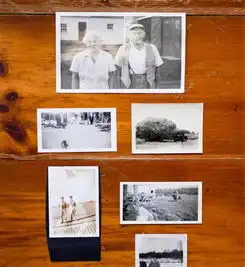 插画师个性家居缤纷色彩巧妙翻新